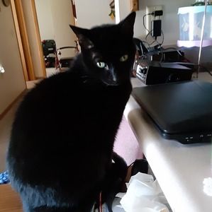 Meet your Posher, Marty